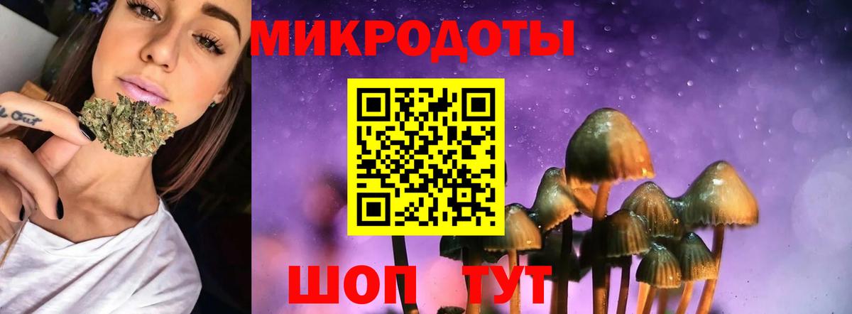 Славгород  Галлюциногенные грибы Psilocybe  Вход с VPN 