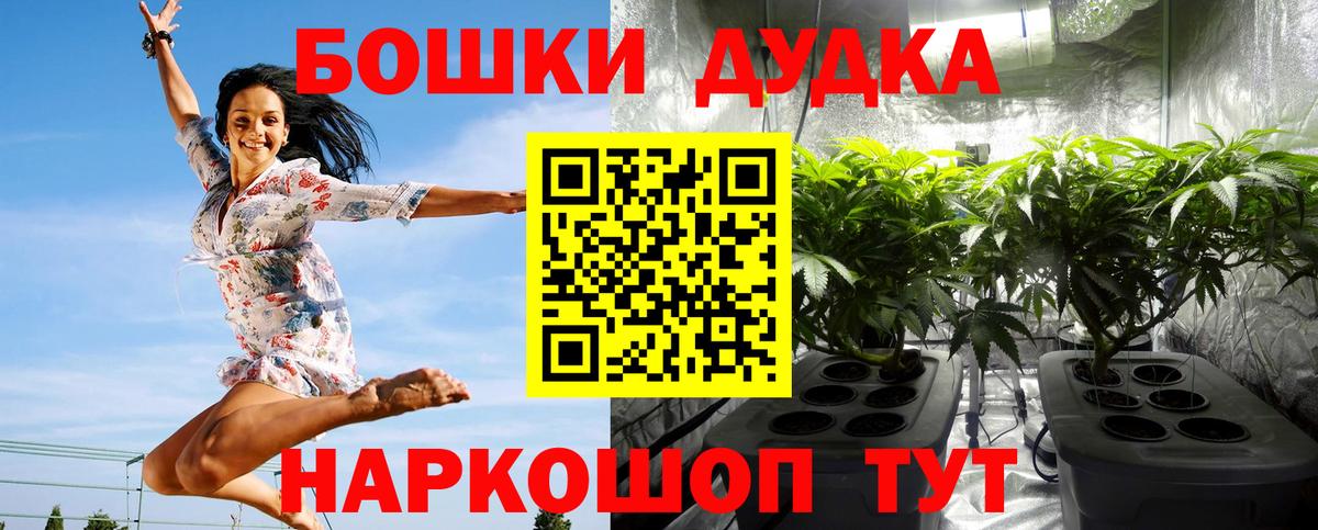 Канабис сатива  Вход с VPN  МАРИХУАНА планчик  Славгород 